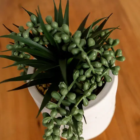 Fn 度假居 莫诺利索斯