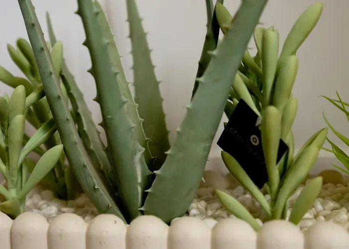 別荘 Fn モノリソス