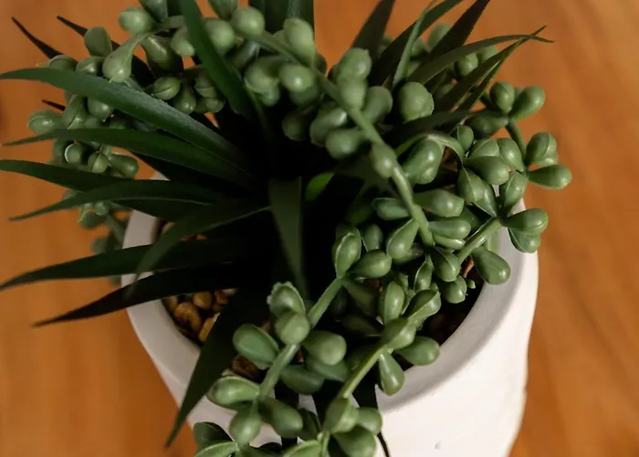 Fn Feriehus Monolithos